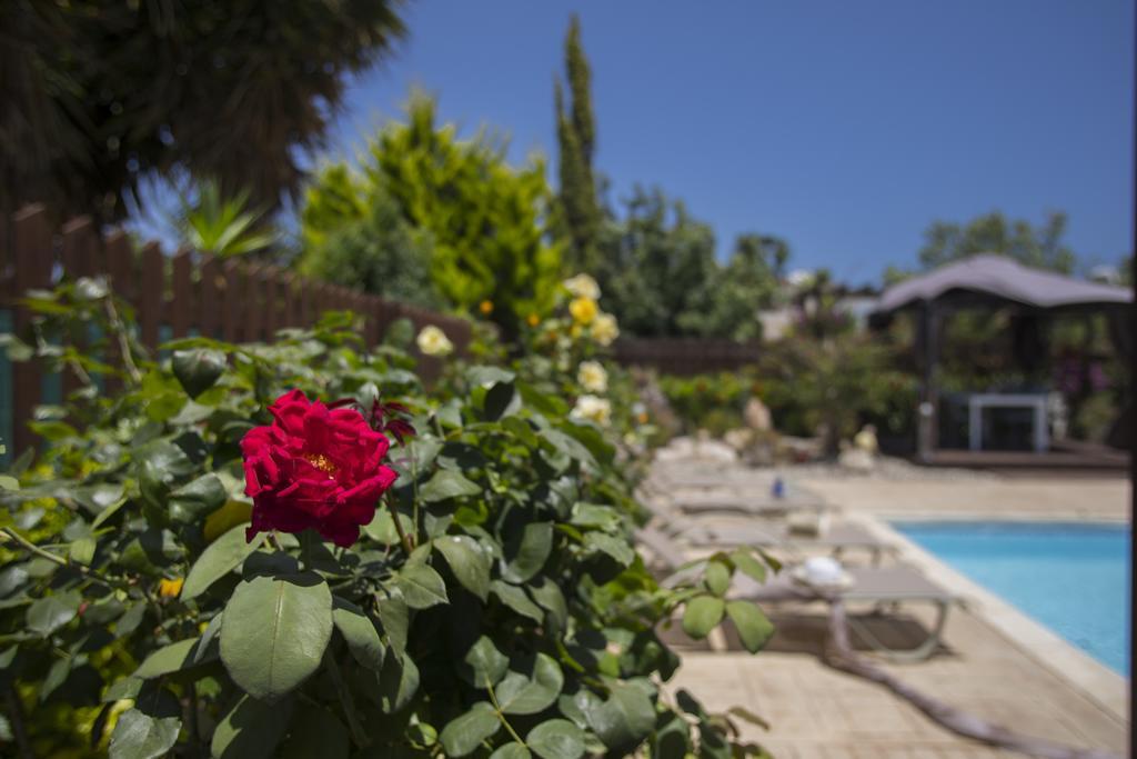 Ayia Napa Villa Napa Gardens Sotira  Стая снимка